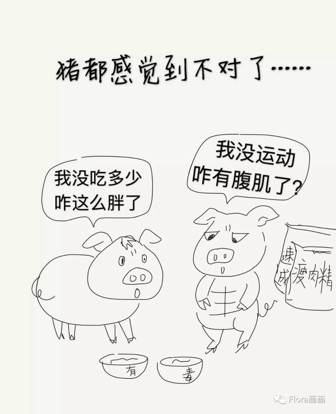 猪都感觉到不对了"我没吃多少 咋就胖成这样?
